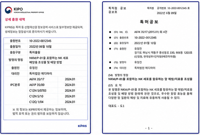 NK 세포 배양 기술 특허 상세 출원 내역